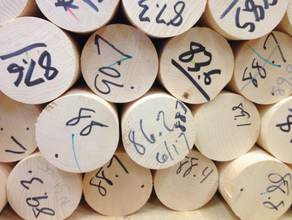 Dowels