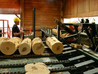 Metal Detection in Wood